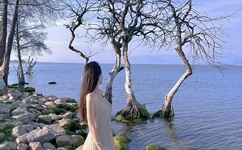 最新精品视频2019在线视频